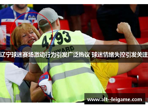 辽宁球迷赛场激动行为引发广泛热议 球迷情绪失控引发关注