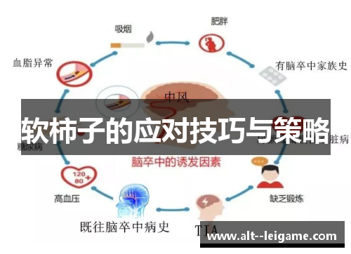 软柿子的应对技巧与策略 软柿子的应对技巧与策略